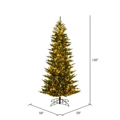 4.5' X 31" Natural Fraser, 3Mm Led 500Cc, K194048Ledcc, Vickerman