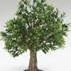 Albero Tree 13", Fontanini, 59536