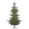 10'Alberta Spruce, G160286, Vickerman