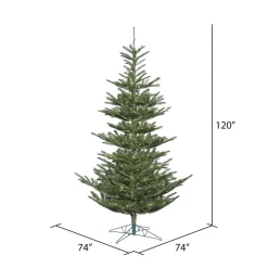10'Alberta Spruce, G160286, Vickerman