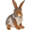 Black Tail Rabbit Medium