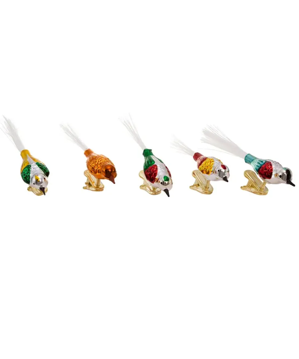 Early Years Glass Bird Clip-On Ornaments, 5-Piece Box Set, C1929, Kurt Adler