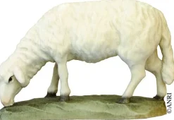 Koult - Sheep Grazing