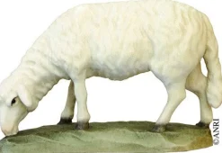 Koult - Sheep Grazing