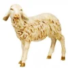 Sheep W/Head Turned 50", Fontanini, 52337