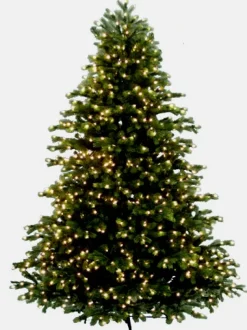 Virginia Fir 7.5', Neuman Tree, 89579L